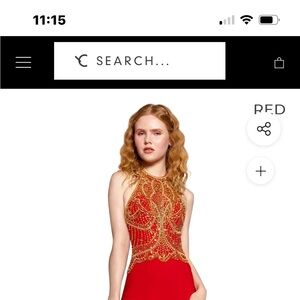 New York dresses, Elizabeth k , never wore, red, price tags still attached